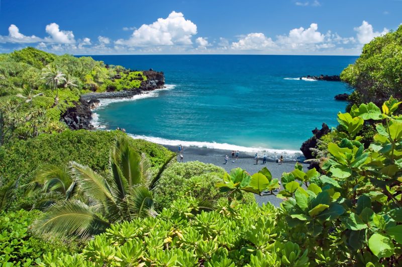 Hana Ultimate Tour - Book Now! Scenic Ocean Views on the Hana Ultimate Tour