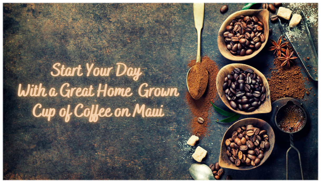 Coffee has been grown in Hawai'i for nearly 2 centuries.