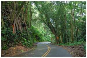 The Road to Hana.