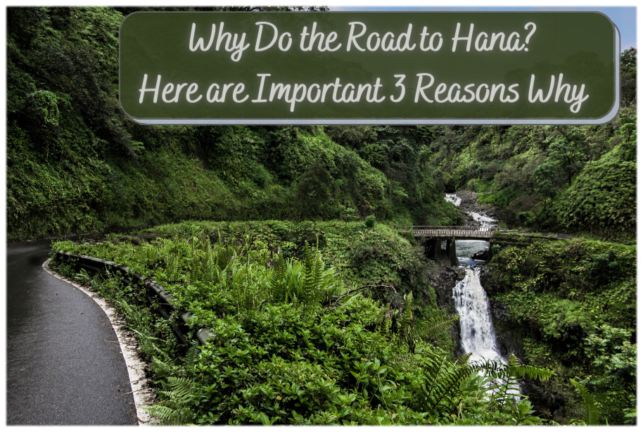Waterfall on the Road to Hana.